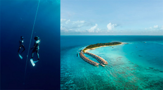     :  Sirru Fen Fushi       Freedive Maldives