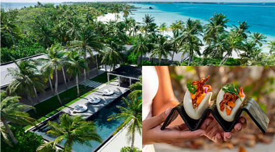       The Ritz-Carlton Maldives, Fari Islands