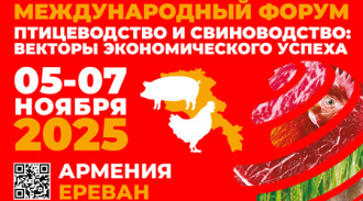� ������� �������� ������ ������������� ����� ������������� � ������������: ������� �������������� ������
