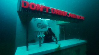   Carlsberg      