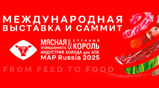 ������ ���� �������� MAP Russia � 2025 ������� ���������������� ��������� Promote Abroad