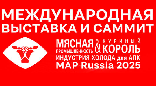  ѻ  MAP Russia 2025