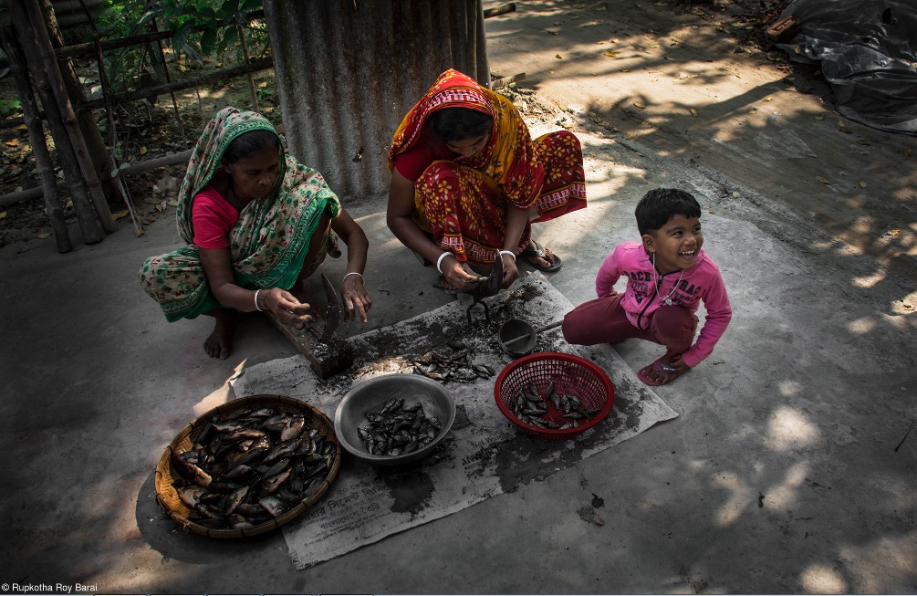 World Food Photography Awards-14.jpg
